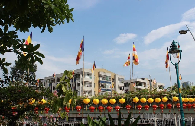 Phật đản rộn ràng tại ngôi chùa bên kênh Nhiêu Lộc ảnh 14 14ph.jpg
