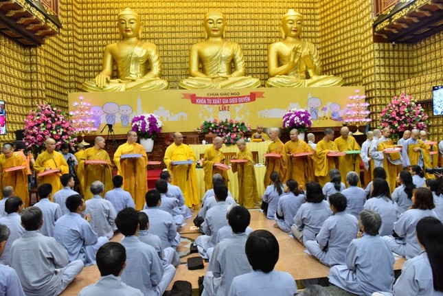 TND_9330 (Small).JPG