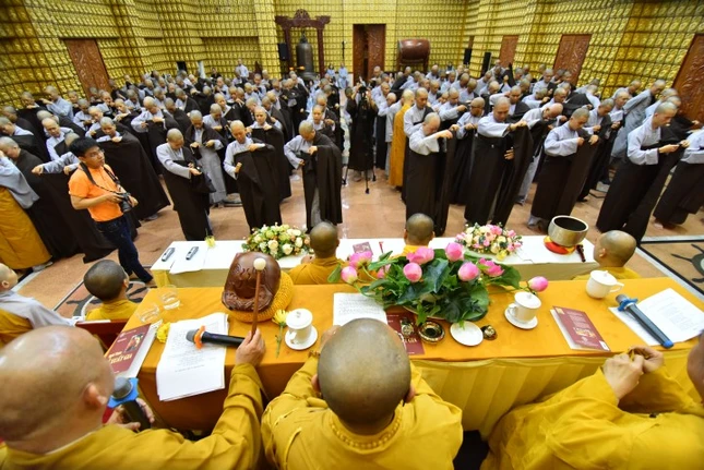 TND_9946 (Small).JPG