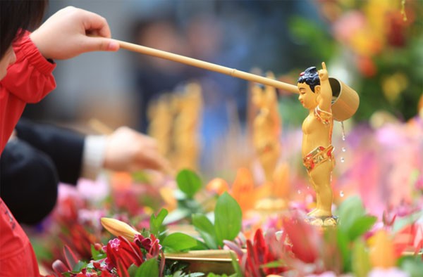 Lá thư mùa Phật đản ảnh 1 lathu.jpg