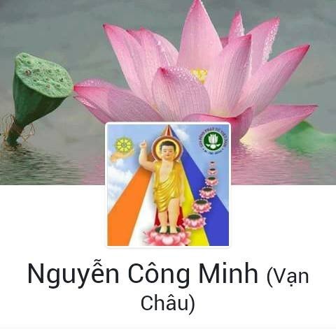 anh3a.jpg