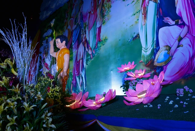 Le dai VNQT - Toi (7).JPG