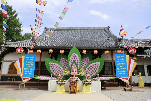 AAA Phuoc Hue (16).jpg