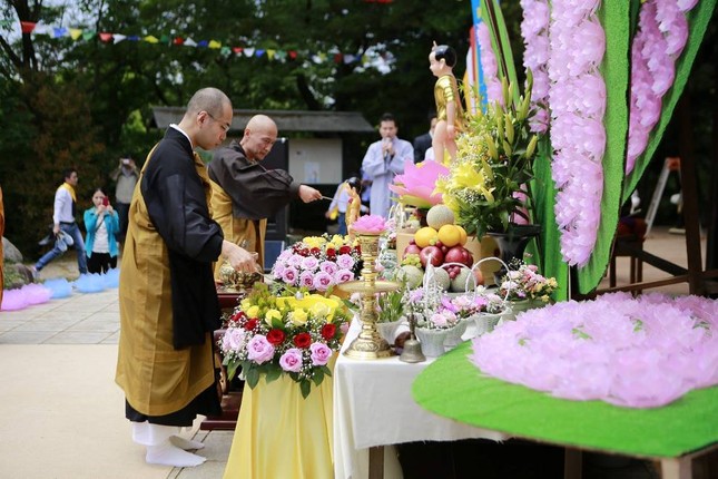 AAA Phuoc Hue (17).jpg