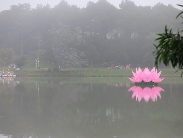 IMG_5449 - Copy (2).JPG