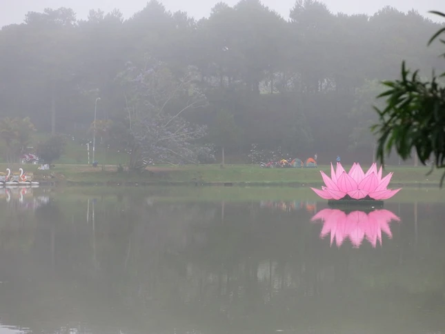 IMG_5449 - Copy (2).JPG