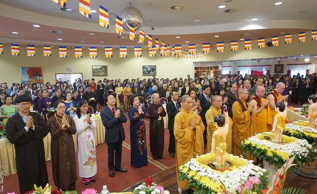 DSC00178b (13)b3.jpg