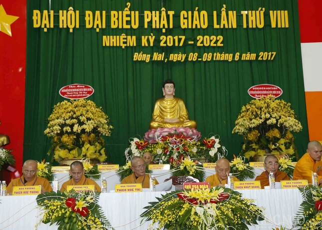 ANH AA (13).jpg