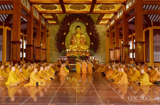 Tac phap an cu -VNQT (11).JPG