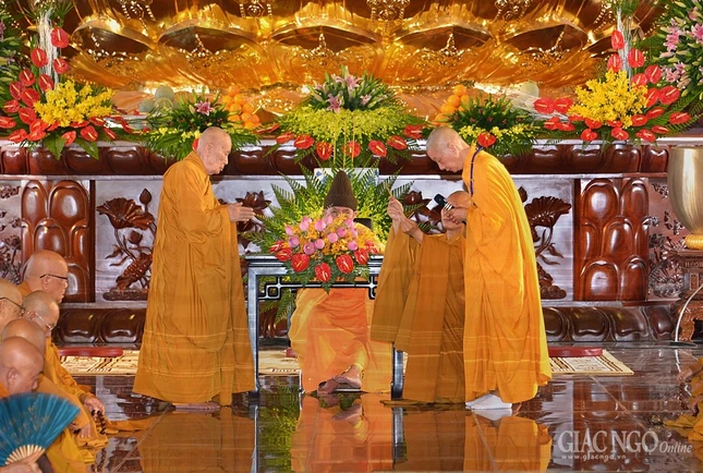 Tac phap an cu -VNQT (12).JPG