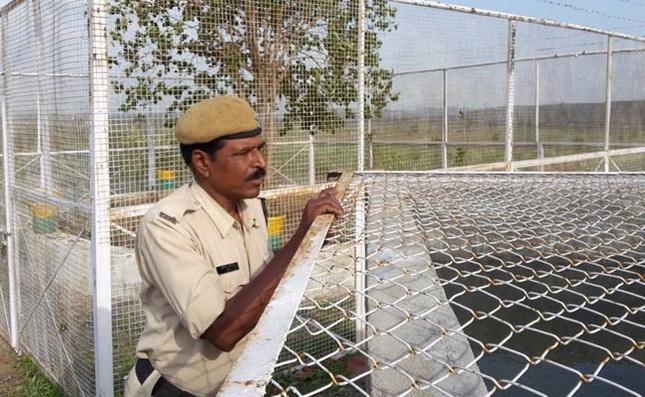 vvip-tree-ndtv-photo_650x400_81499888935.jpg