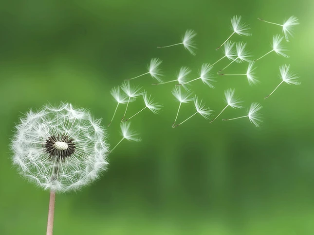 Đủ duyên thì gặp ảnh 1 du duyen.jpg