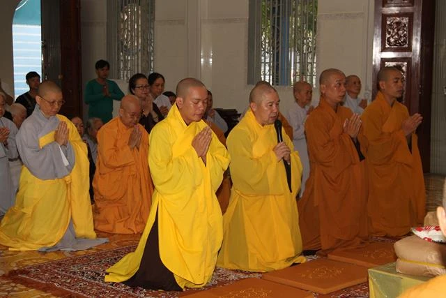 tpsadeccungduong (1).JPG