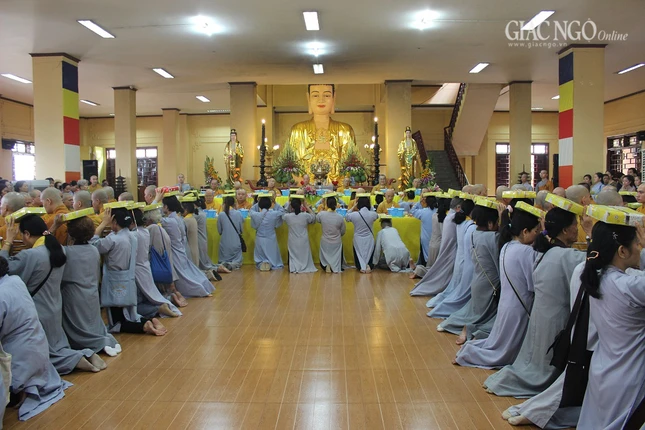 phoquangdangy2 (1 of 1).jpg