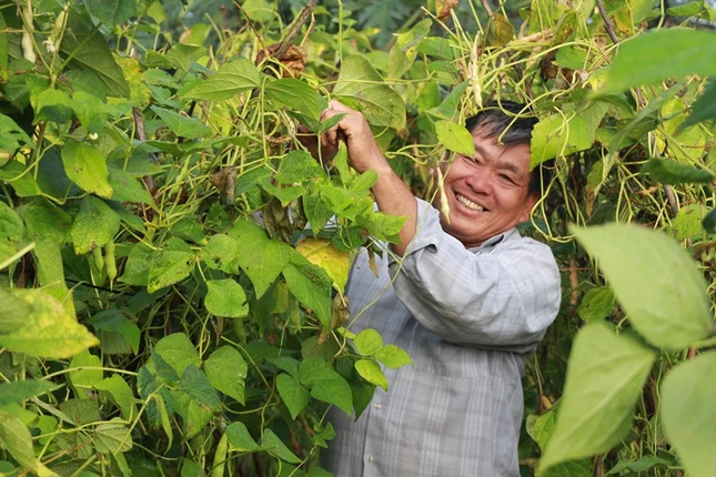 Ba tác giả Suối Thông vẫn giản dị mỗi ngày với công việc ở ruộng vườn a 4, SC Suoi Thong 2.jpg