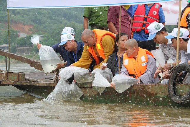 Tuyên Quang: Phóng sinh hơn 1,2 tấn cá xuống sông Lô ảnh 1 a phongsanh 1.jpg