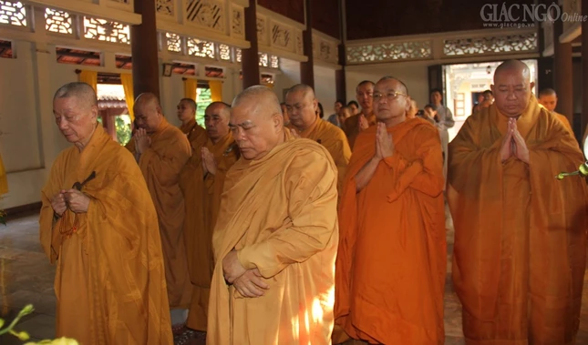 1 quanghau (2).jpg