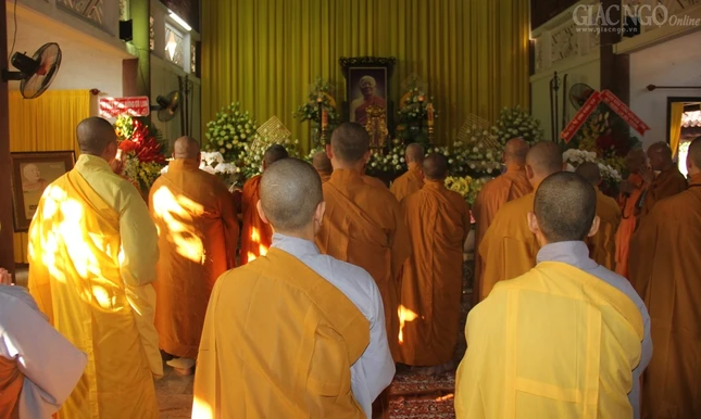 1 quanghau (3).jpg