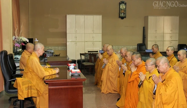 1 quanghau (6).jpg