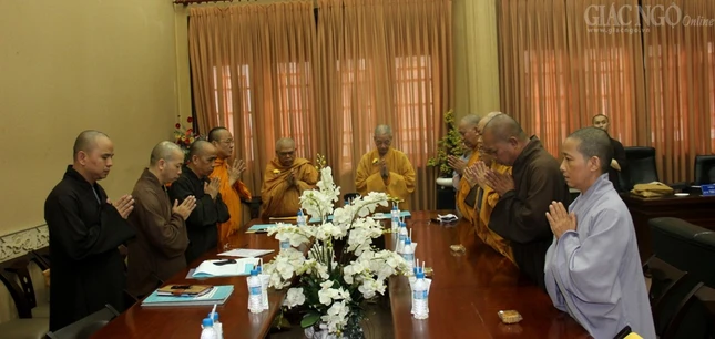 1 quanghau (9).jpg