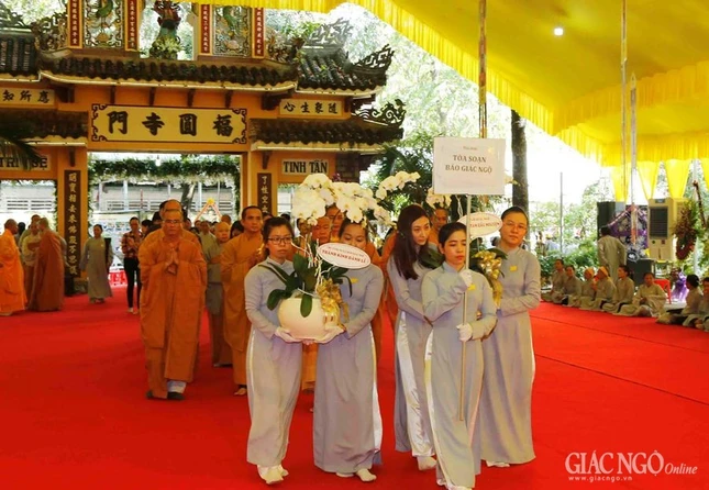 ANH AA (7).JPG