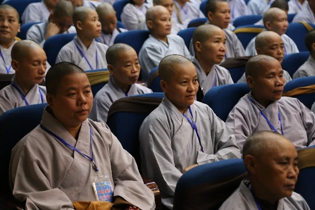 haiduong14.jpg