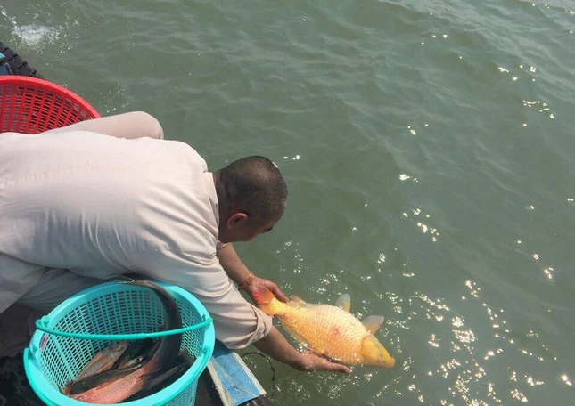 TT Thich Thien Quy phong sanh ca  xuong song Tien.jpg