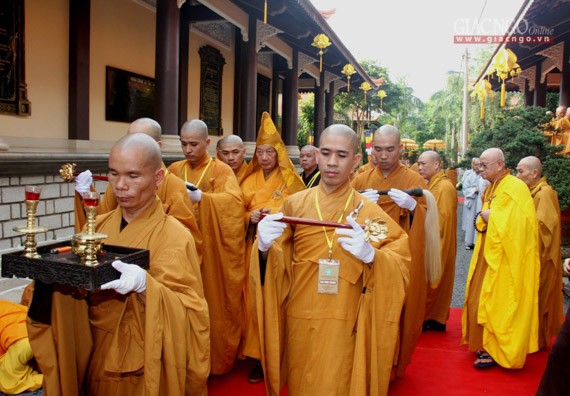 Daigioidanphaploa (1).jpg