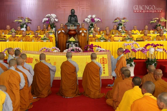 Daigioidanphaploa (18).jpg