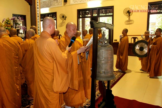 Daigioidanphaploa (23).jpg