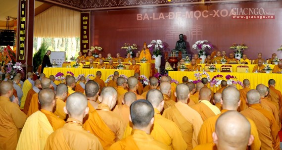 Daigioidanphaploa (25).jpg