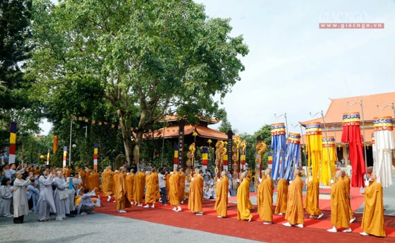 Daigioidanphaploa (32).jpg