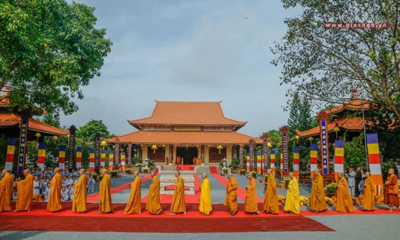 Daigioidanphaploa (33).jpg