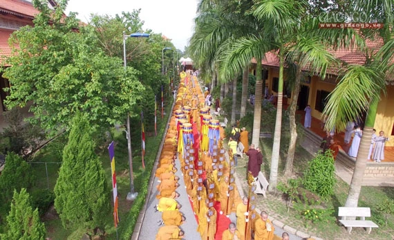 Daigioidanphaploa (36).jpg