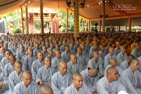 Daigioidanphaploa (7).jpg