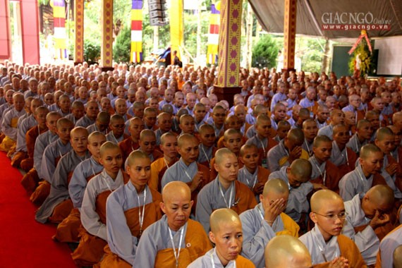 Daigioidanphaploa (8).jpg