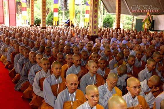 Daigioidanphaploa (8).jpg