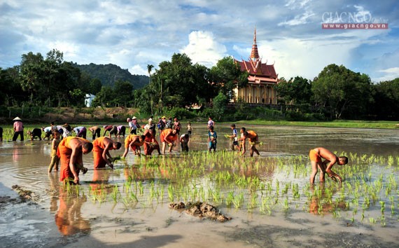 vanhoakhmer1.jpg