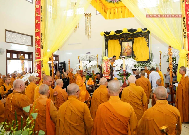 Tacannhapkimquan (10).jpg