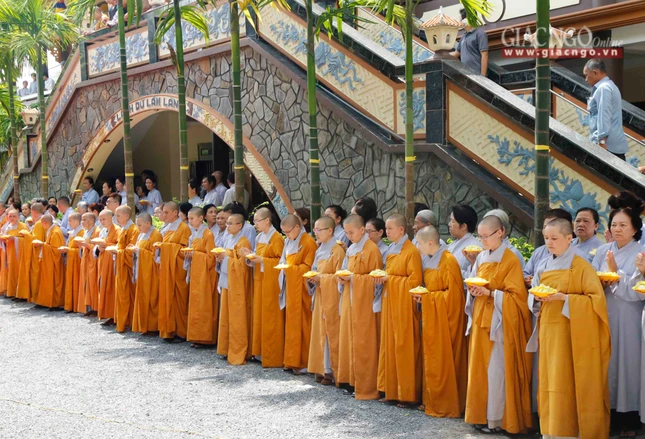 Tacannhapkimquan (13).jpg