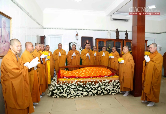 Tacannhapkimquan (14).jpg