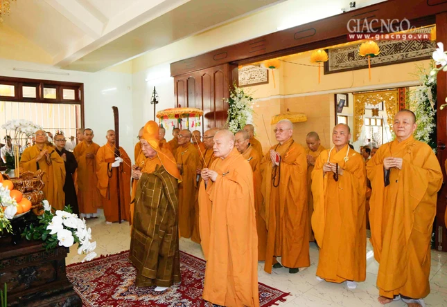 Tacannhapkimquan (16).jpg