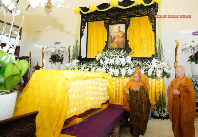 Tacannhapkimquan (21).jpg