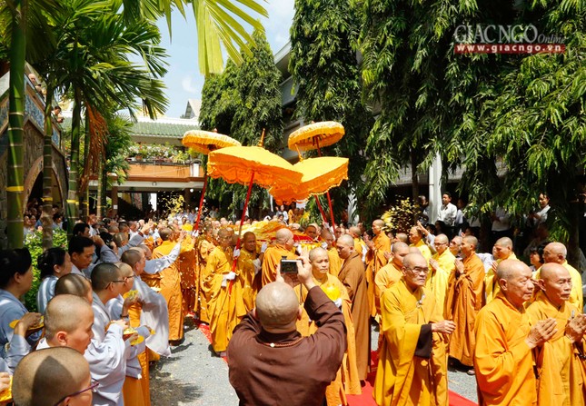 Tacannhapkimquan (3).jpg