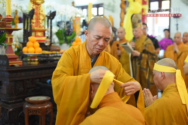 Tacannhapkimquan (8).jpg