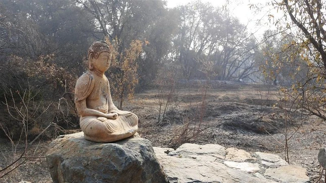 Amonasteryburn (6).jpg