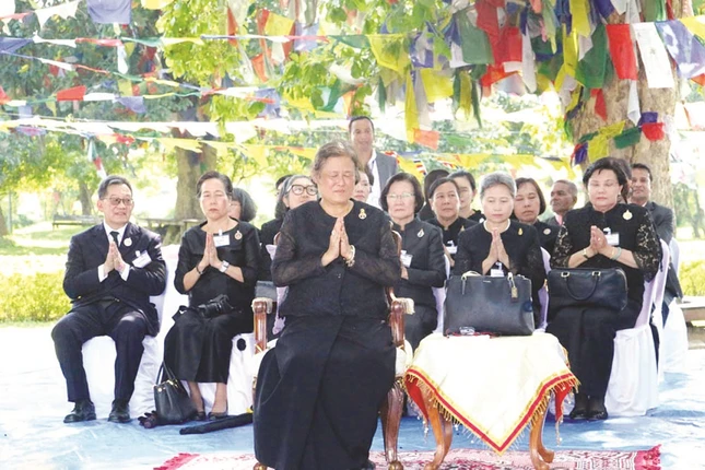 congchua.JPG