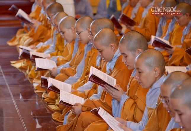 Tung kinh chieu (10).jpg