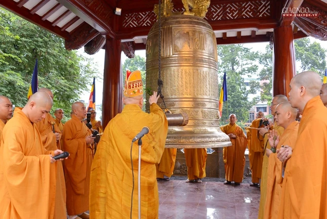 BTN_0098.JPG