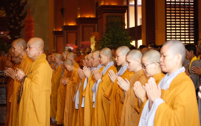_MG_5339.jpg